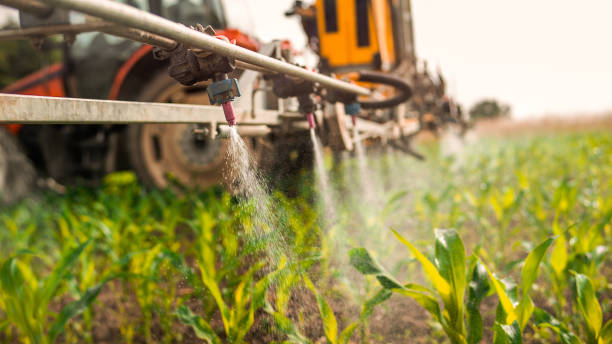 Best Mosquito Control Services  in Liberty, SC